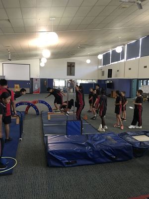 2018 Gymnastics 201