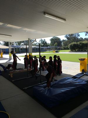 2018 Gymnastics 331