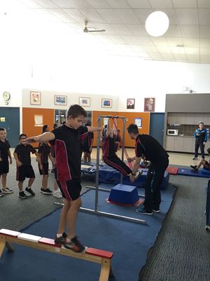 2018 Gymnastics 491