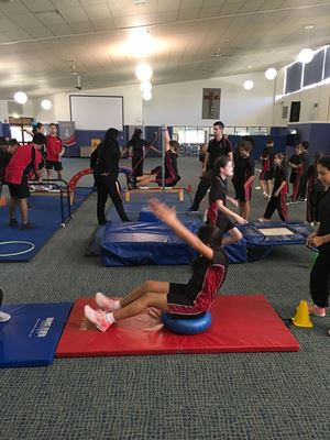 2018 Gymnastics 521