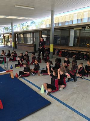 2018 Gymnastics 531