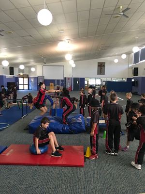 2018 Gymnastics 691