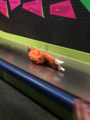2018 Y6 Canberra 521