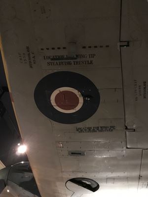 2018 Y6 Canberra 611