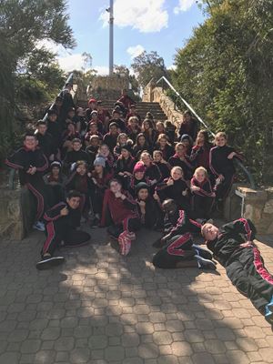 2018 Y6 Canberra 951