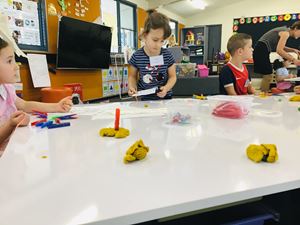 IMG_0500