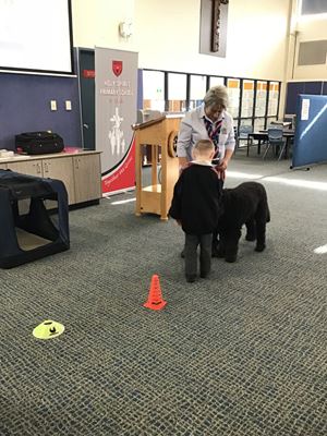IMG_0179
