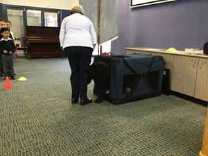 IMG_0195