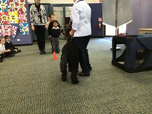 IMG_0200