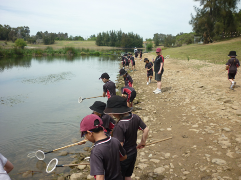 Lakes 2