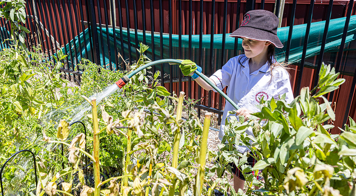 Alisa (Teacher's Aide)