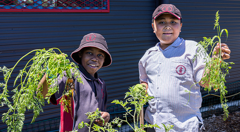 Holy Spirit Catholic Primary St Clair students holding carrots grown from garden