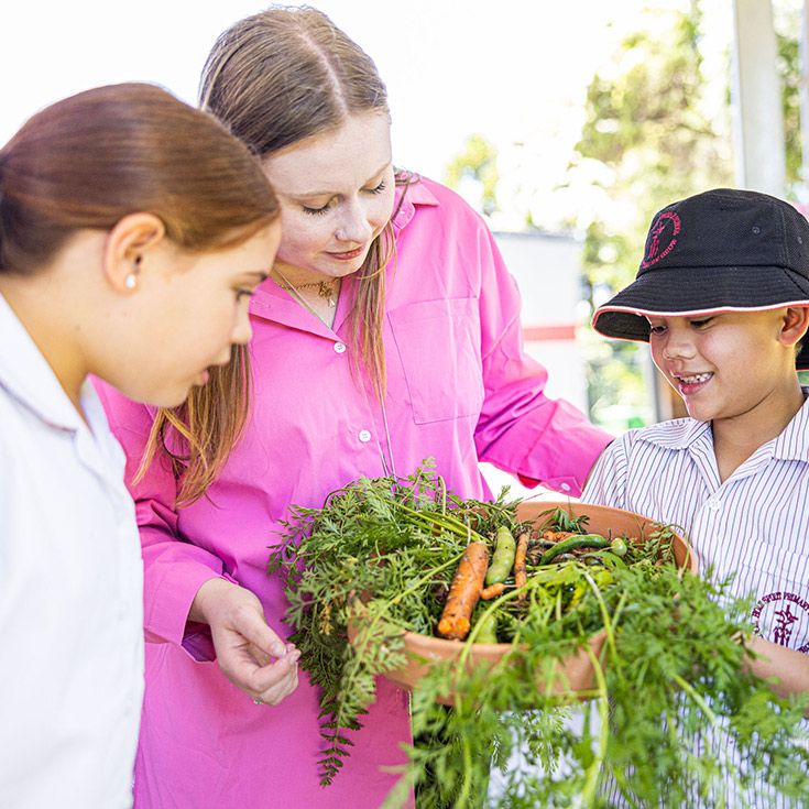 Holy Spirit Catholic Primary St Clair Vegetable Garden