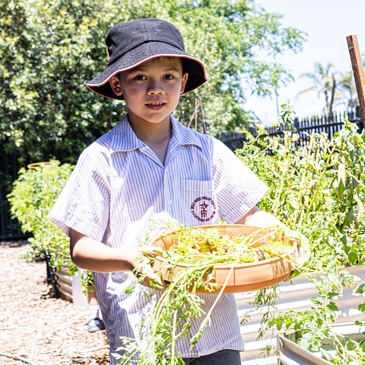Boy gardening at Holy Spirit Catholic Primary St Clair