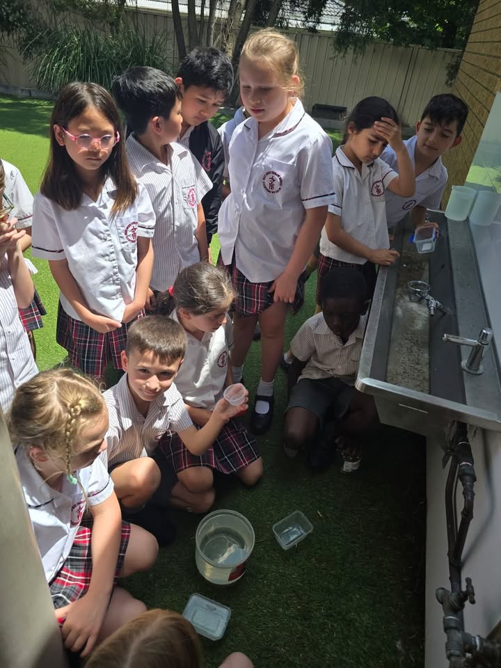 755417086587041_1463237525804990-1