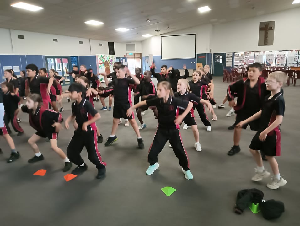 755417086587041_1464178859044190-1