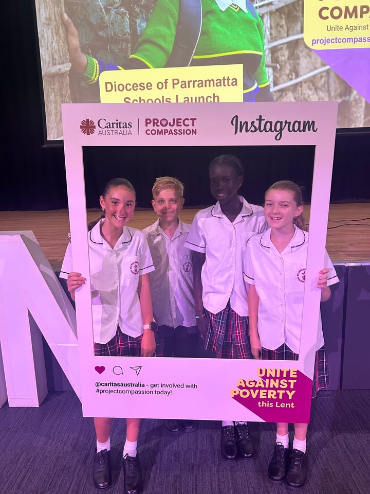 755417086587041_1545301960931879-1