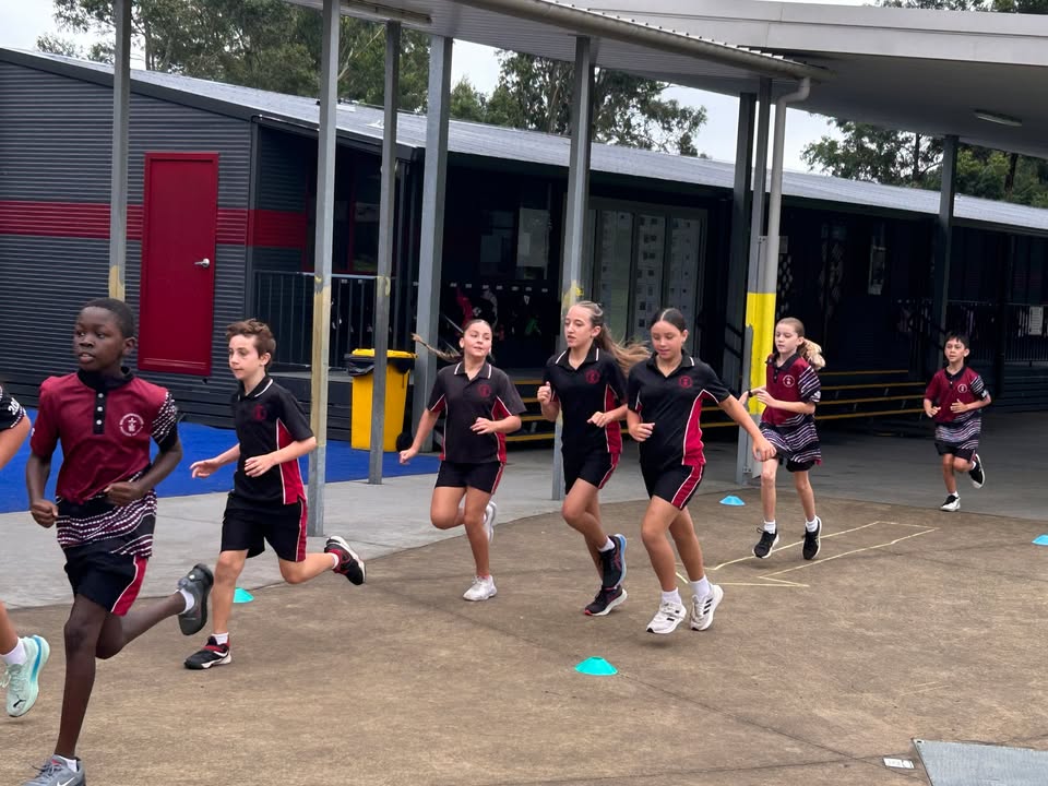 755417086587041_1565305272264881-1